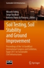 Soil Testing, Soil Stability and Ground Improvement : Proceedings of the 1st GeoMEast International Congress and Exhibition, Egypt 2017 on Sustainable Civil Infrastructures - Book