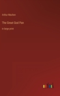 The Great God Pan : in large print - Book