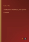 Two Boys and a Fortune; Or, The Tyler Will : in large print - Book