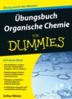 UEbungsbuch Organische Chemie fur Dummies - Book