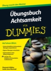 UEbungsbuch Achtsamkeit fur Dummies - Book