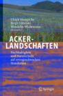Ackerlandschaften : Nachhaltigkeit Und Naturschutz Auf Ertragsschwachen Standorten - Book