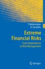 Extreme Financial Risks : From Dependence to Risk Management - Book