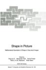 Shape in Picture : Mathematical Description of Shape in Grey-level Images - Book
