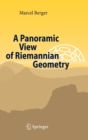 A Panoramic View of Riemannian Geometry - Book