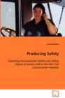 Producing Safety - Book