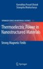 Thermoelectric Power in Nanostructured Materials : Strong Magnetic Fields - Book