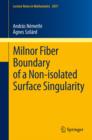 Milnor Fiber Boundary of a Non-isolated Surface Singularity - eBook