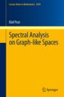 Spectral Analysis on Graph-like Spaces - eBook