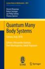Quantum Many Body Systems : Cetraro, Italy 2010, Editors:  Alessandro Giuliani, Vieri Mastropietro, Jakob Yngvason - Book