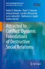Attracted to Conflict: Dynamic Foundations of Destructive Social Relations - eBook