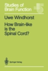 How Brain-like is the Spinal Cord? : Interacting Cell Assemblies in the Nervous System - eBook