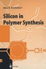 Silicon in Polymer Synthesis - Book