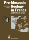 Pre-Mesozoic Geology in France and Related Areas : and Related Areas - eBook