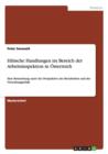 Ethische Handlungen im Bereich der Arbeitsinspektion in OEsterreich : Eine Betrachtung unter der Perspektive des Berufsethos und der Verwaltungsethik - Book