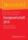 Energiewirtschaft 2014 : Fakten Und Chancen Der Tiefen Geothermie - Book