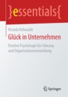 Gluck in Unternehmen : Positive Psychologie Fur Fuhrung Und Organisationsentwicklung - Book