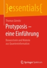 Protyposis – eine Einfuhrung : Bewusstsein und Materie aus Quanteninformation - Book