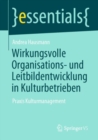 Wirkungsvolle Organisations- Und Leitbildentwicklung in Kulturbetrieben : Praxis Kulturmanagement - Book