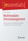 Multimodales Stressmanagement : Rustzeug fur nachhaltige Stabilitat und Balance in der VUCA-Welt - Book