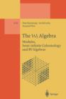 The W3 Algebra : Modules, Semi-infinite Cohomology and BV Algebras - Book