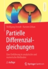 Partielle Differenzialgleichungen : Eine Einfuhrung in Analytische Und Numerische Methoden - Book