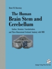 The Human Brain Stem and Cerebellum : Surface, Structure, Vascularization, and Three-Dimensional Sectional Anatomy, with MRI - eBook