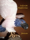Infinite happiness forever - eBook