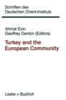Turkey and the European Community - Book