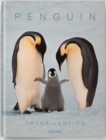 Penguins - Book