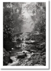 Sebastiao Salgado. Amazonia. Poster 'Creek' - Book