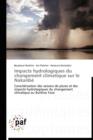 Impacts Hydrologiques Du Changement Climatique Sur Le Nakanbe - Book