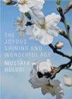 Mustafa Hulusi : The Joyous, Shining And Wonderful Age - Book