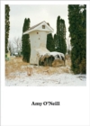 Amy O'Neill : Suburban Imagination - Book