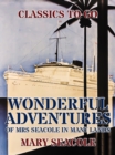 Wonderful Adventures of Mrs Seacole in Many Lands - eBook