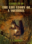 The Life Story of A Squirrel - eBook