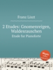 2 Etudes : Gnomenreigen, Waldesrauschen: Etude fur Pianoforte - Book