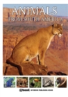 Animals from South America - Book