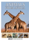 Animals from Africa - Book