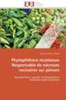 Phytophthora nicotianae responsable de necroses racinaires sur piment - Book