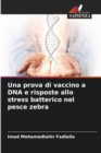 Una prova di vaccino a DNA e risposte allo stress batterico nel pesce zebra - Book