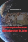 C. G. Jung and the Bose-Einstein Condensates : Psychic-quantum Processes of the Apokalypsis of St. John - Book