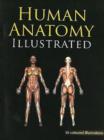Human Anatomy Illustrated - Book