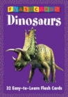 My First Flash Cards - Dinosaurs - Book