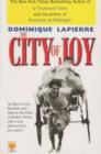 The City of Joy - Book