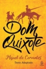 Dom Quixote - Book