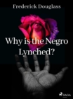 Why is the Negro Lynched? - eBook