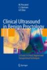 Clinical Ultrasound in Benign Proctology : 2-D and 3-D Anal, Vaginal and Transperineal Techniques - eBook