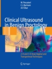 Clinical Ultrasound in Benign Proctology : 2-D and 3-D Anal, Vaginal and Transperineal Techniques - Book