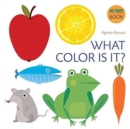 What Color Is It? - Book